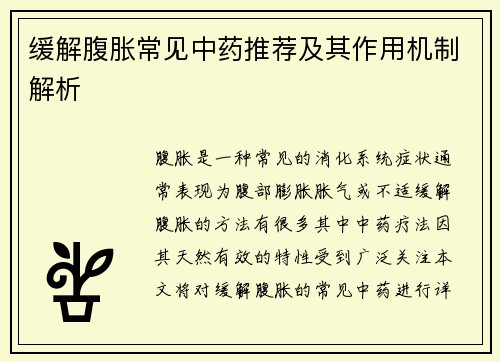 缓解腹胀常见中药推荐及其作用机制解析